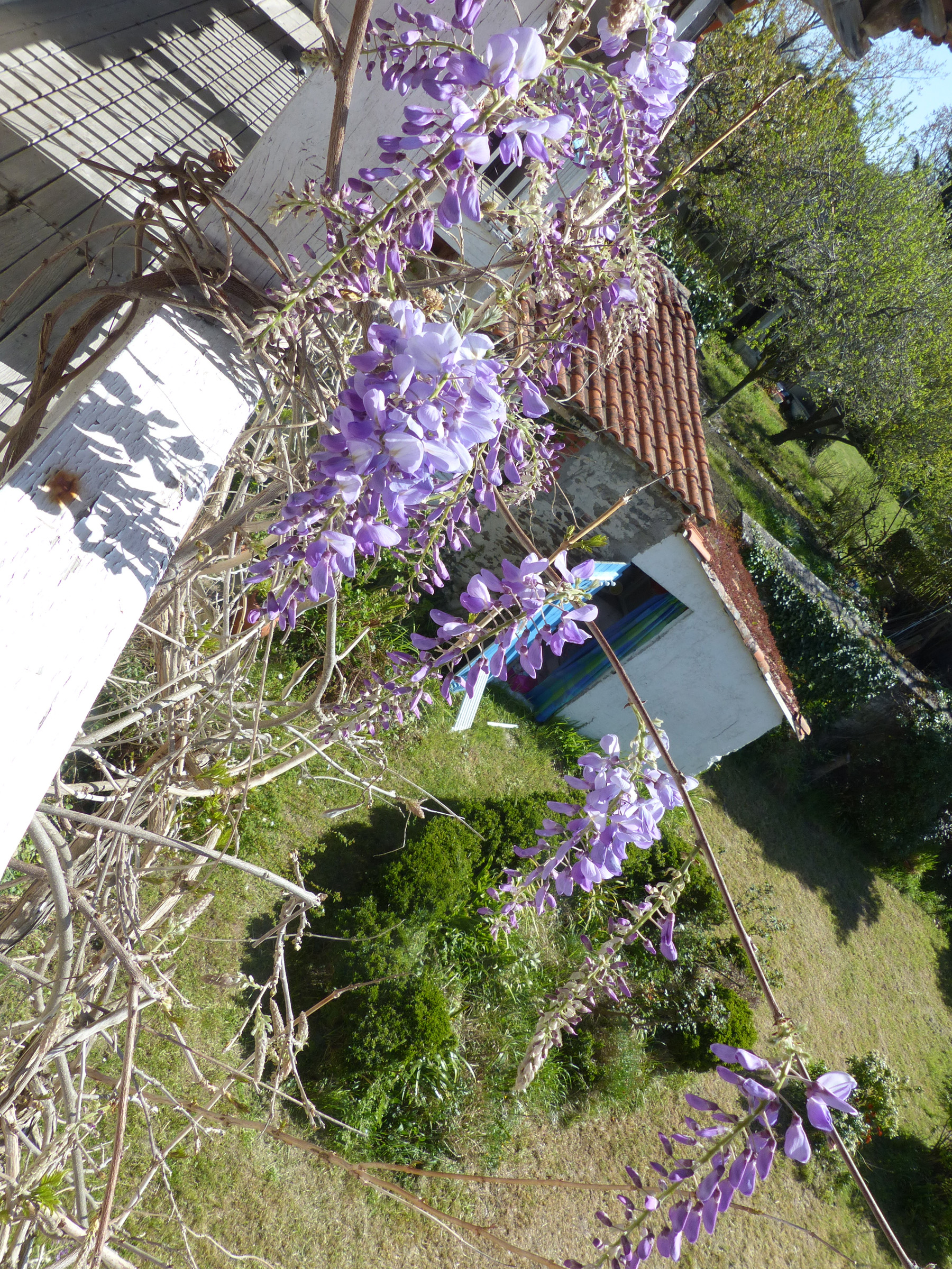 Vue du balcon 2